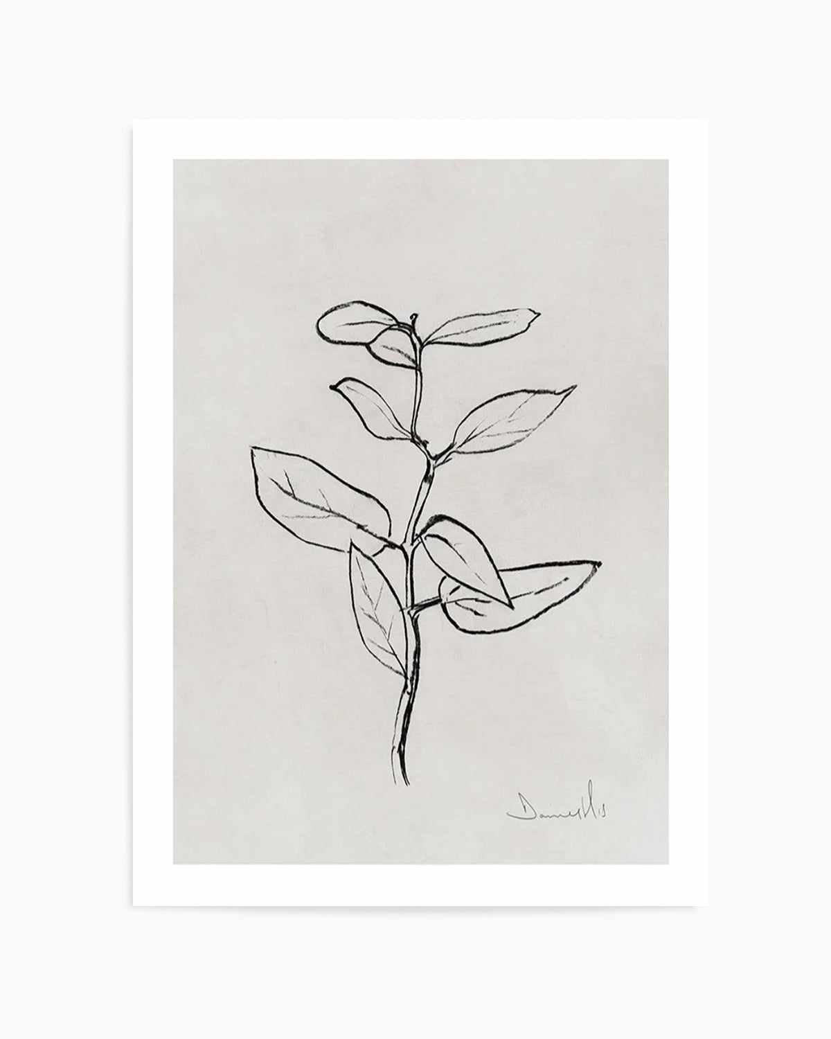 Eucalyptus Sapling by Dan Hobday Art Print