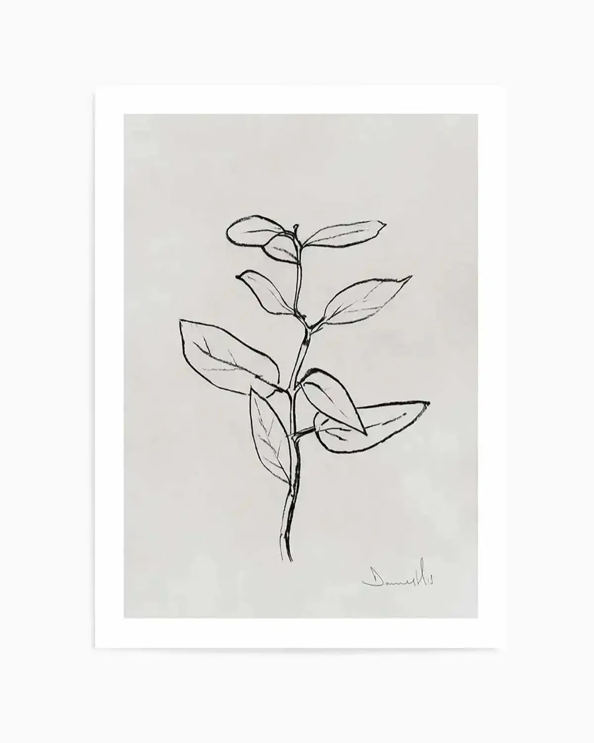Eucalyptus Sapling by Dan Hobday Art Print from Olive et Oriel where you can shop wallpaper and artworks online