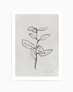 Eucalyptus Sapling by Dan Hobday Art Print