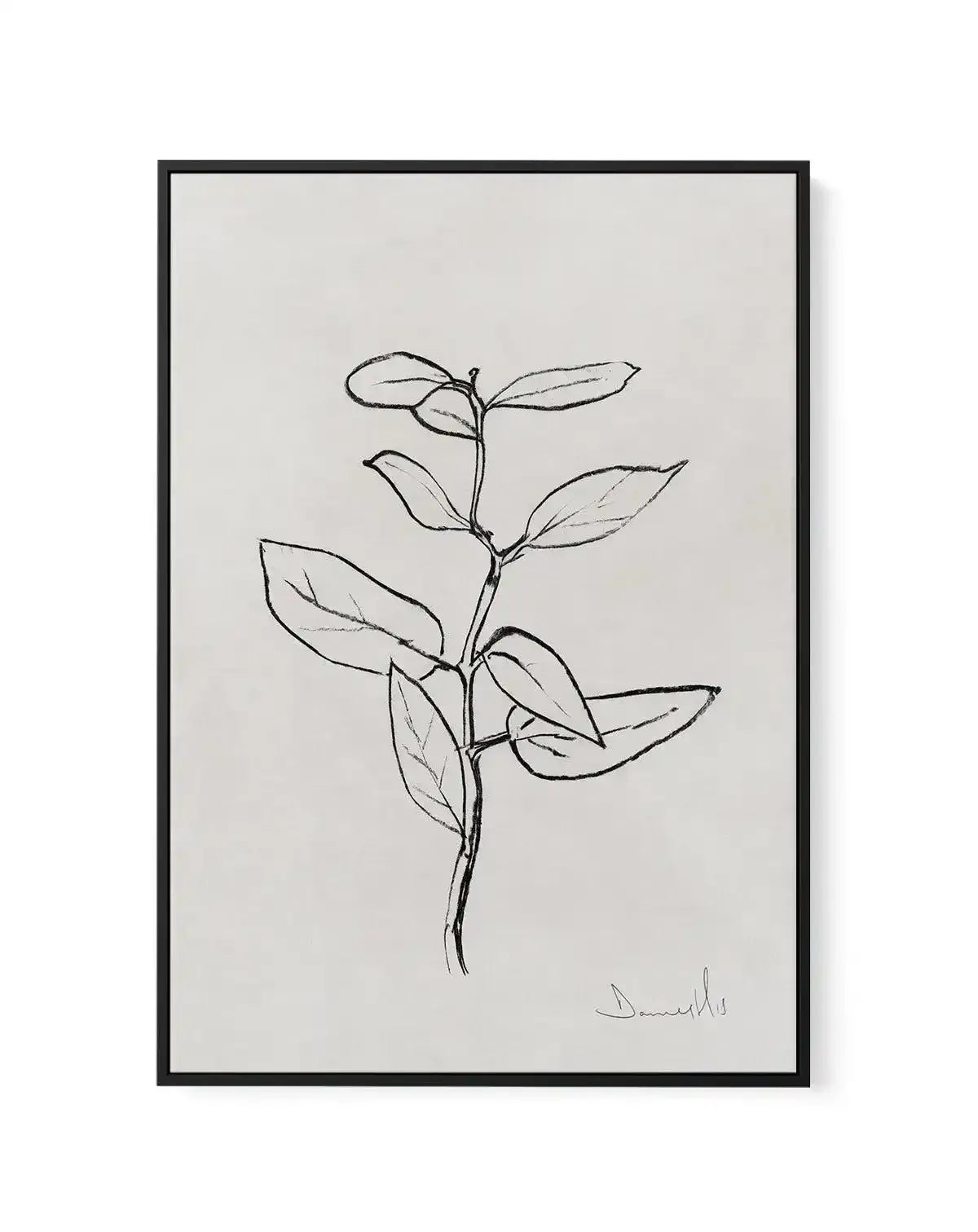 Eucalyptus Sapling by Dan Hobday | Framed Canvas-CANVAS-You can shop wall art online with Olive et Oriel for everything from abstract art to fun kids wall art. Our beautiful modern art prints and canvas art are available from large canvas prints to wall art paintings and our proudly Australian artwork collection offers only the highest quality framed large wall art and canvas art Australia - You can buy fashion photography prints or Hampton print posters and paintings on canvas from Olive et Ori