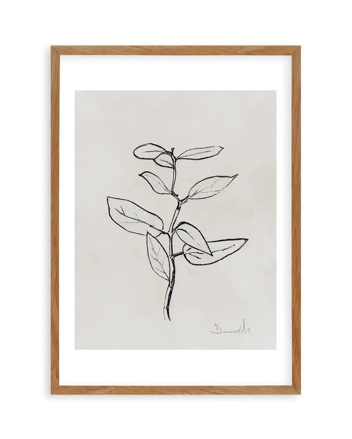 Eucalyptus Sapling by Dan Hobday Art Print-PRINT-Olive et Oriel-Dan Hobday-50x70 cm | 19.6" x 27.5"-Walnut-With White Border-Buy-Australian-Art-Prints-Online-with-Olive-et-Oriel-Your-Artwork-Specialists-Austrailia-Decorate-With-Coastal-Photo-Wall-Art-Prints-From-Our-Beach-House-Artwork-Collection-Fine-Poster-and-Framed-Artwork