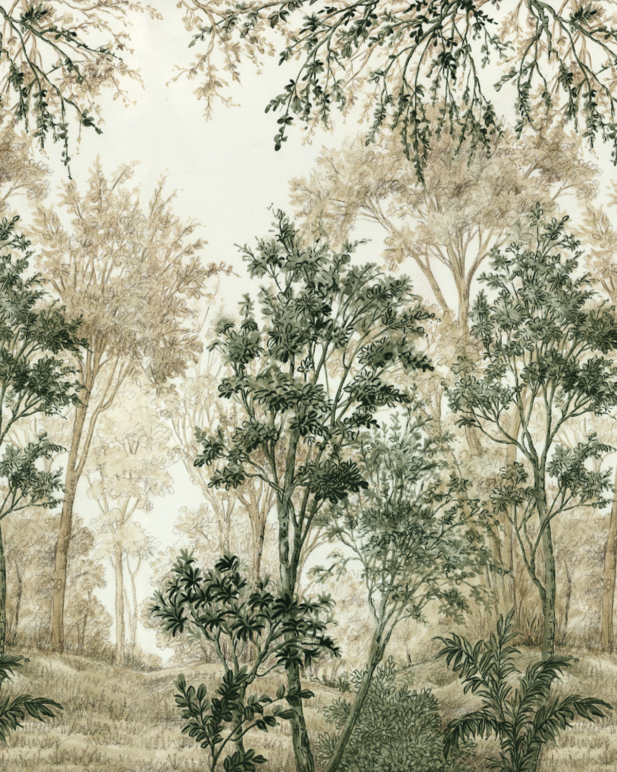 Wattle & Mist Panoramic Mural in Eucalyptus & Linen Wallpaper