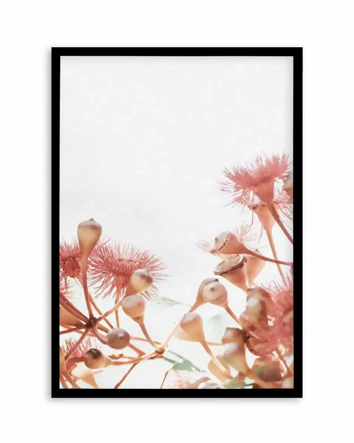 Eucalyptus in Bloom IV | PT Art Print from Olive et Oriel where you can shop wallpaper and artworks online