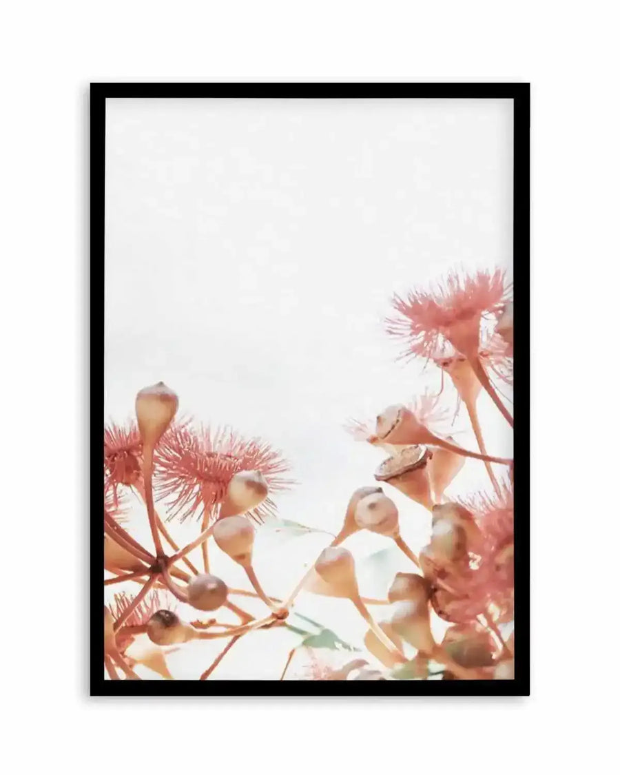 Eucalyptus in Bloom IV | PT Art Print from Olive et Oriel where you can shop wallpaper and artworks online