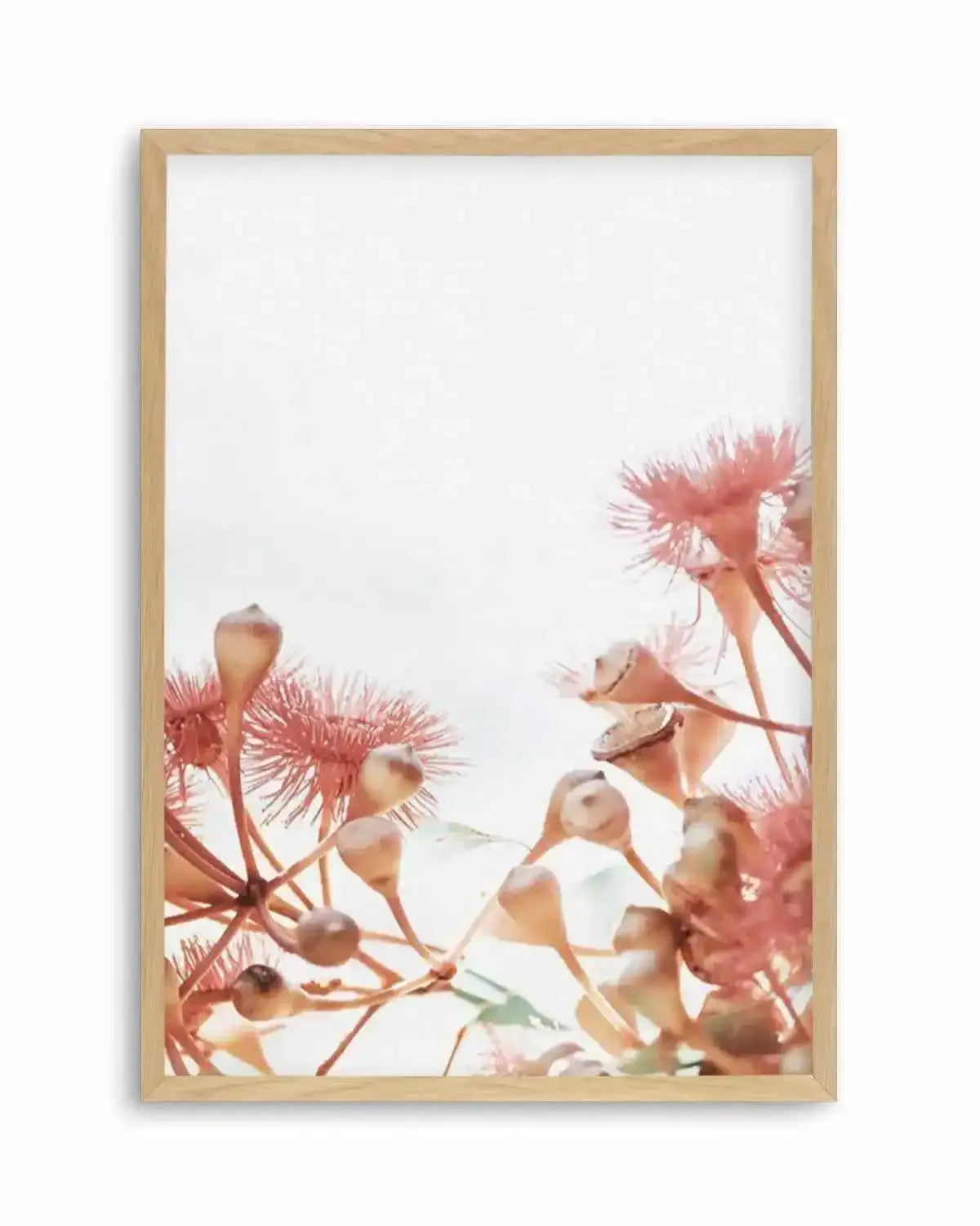 Eucalyptus in Bloom IV | PT Art Print from Olive et Oriel where you can shop wallpaper and artworks online