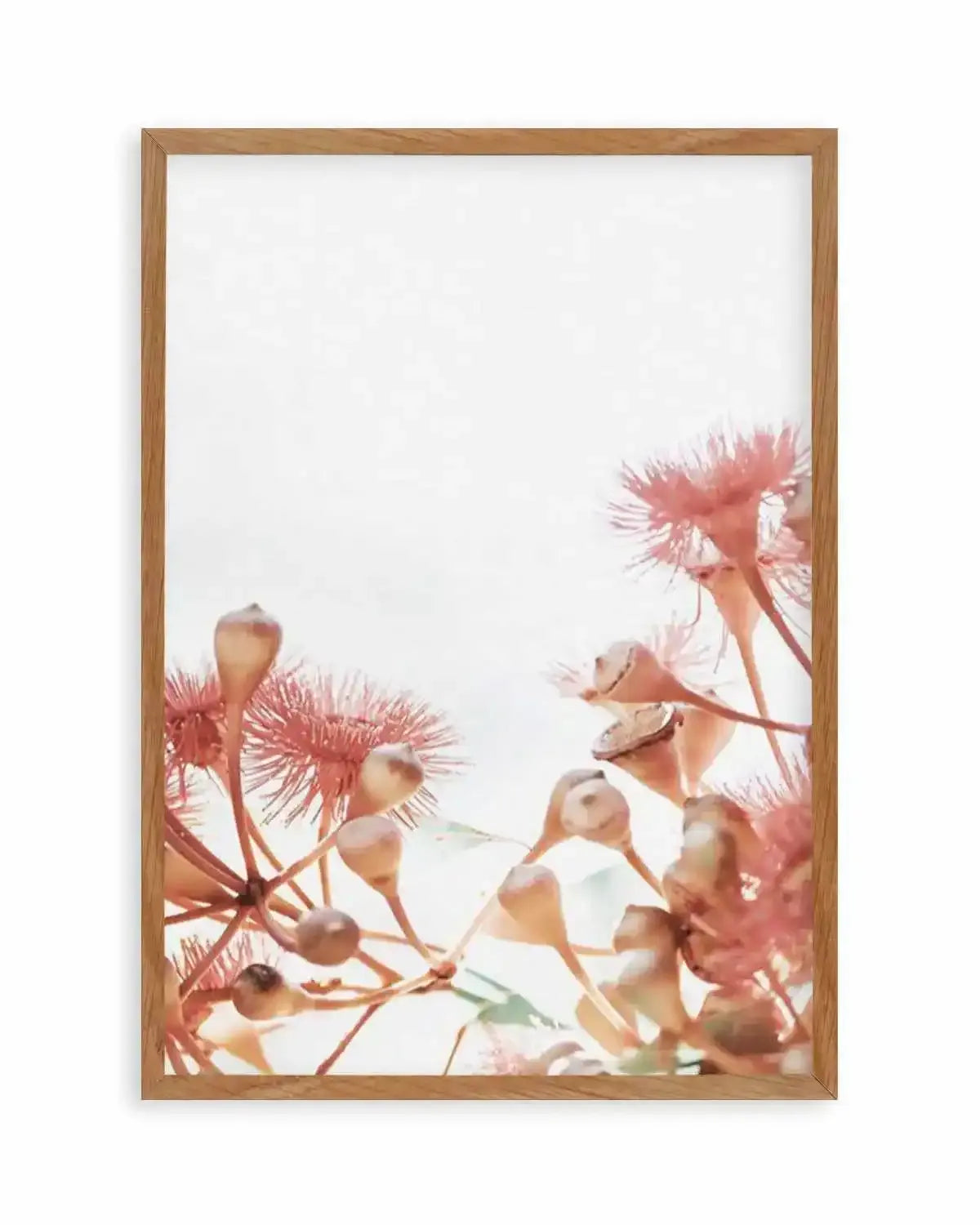 Eucalyptus in Bloom IV | PT Art Print from Olive et Oriel where you can shop wallpaper and artworks online