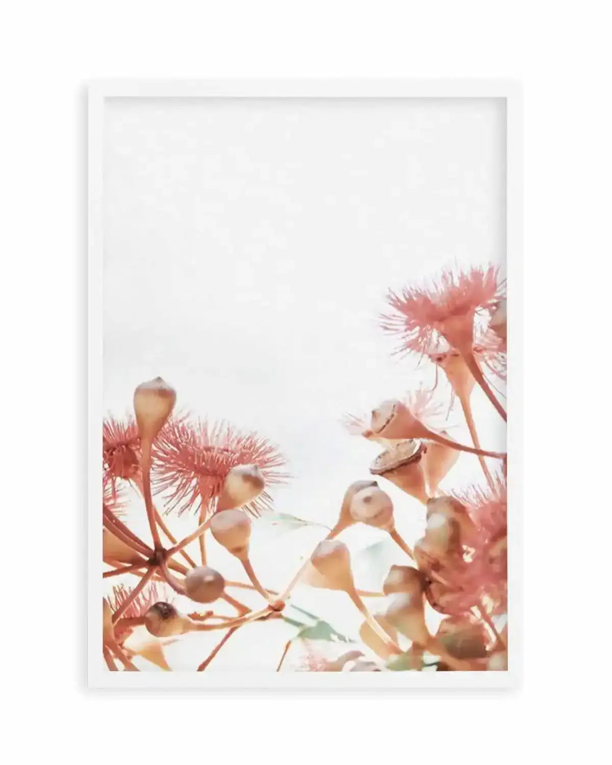Eucalyptus in Bloom IV | PT Art Print from Olive et Oriel where you can shop wallpaper and artworks online