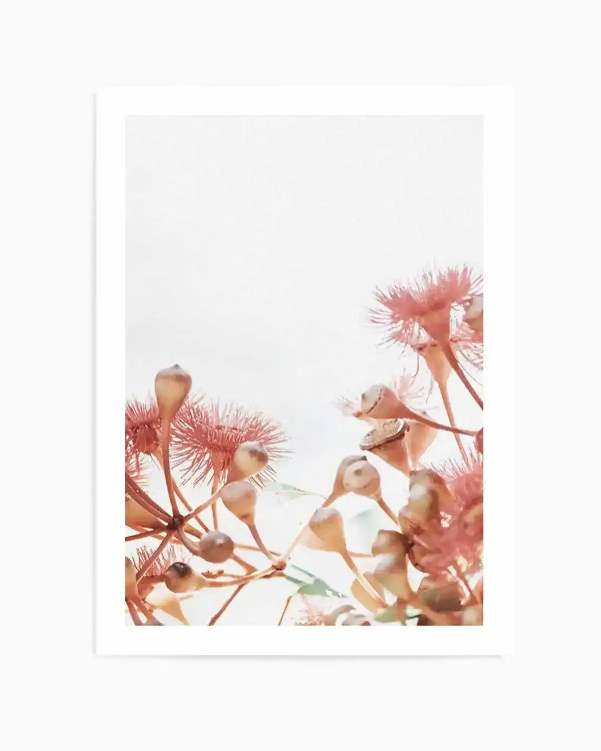 Eucalyptus in Bloom IV | PT Art Print from Olive et Oriel where you can shop wallpaper and artworks online