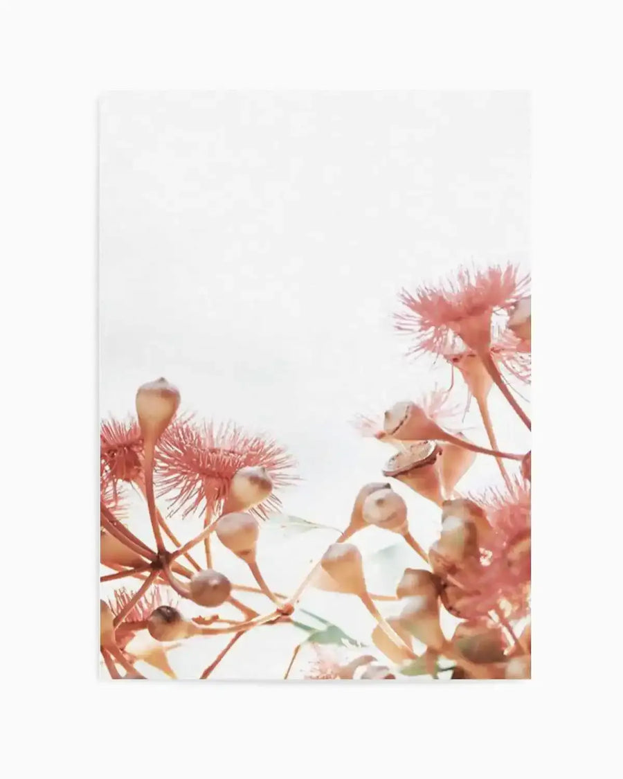 Eucalyptus in Bloom IV | PT Art Print from Olive et Oriel where you can shop wallpaper and artworks online