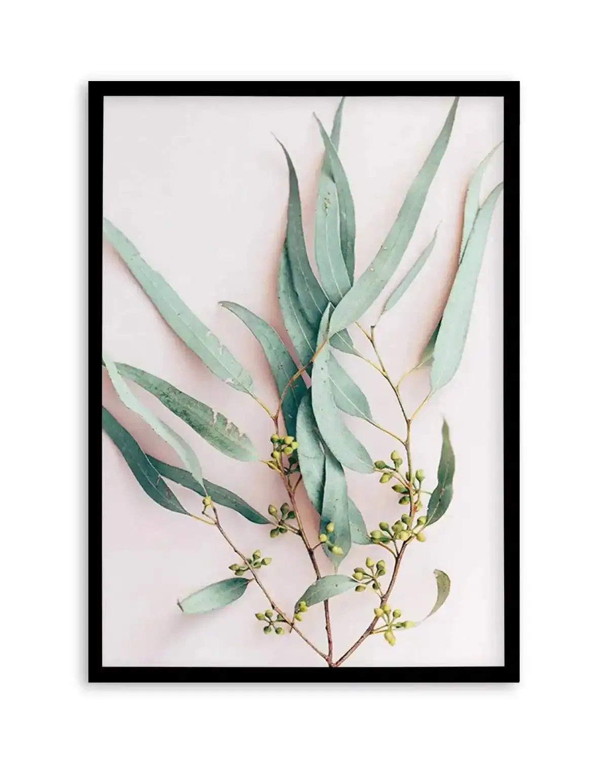 Eucalyptus on Blush Art Print from Olive et Oriel where you can shop wallpaper and artworks online