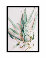 Eucalyptus on Blush Art Print