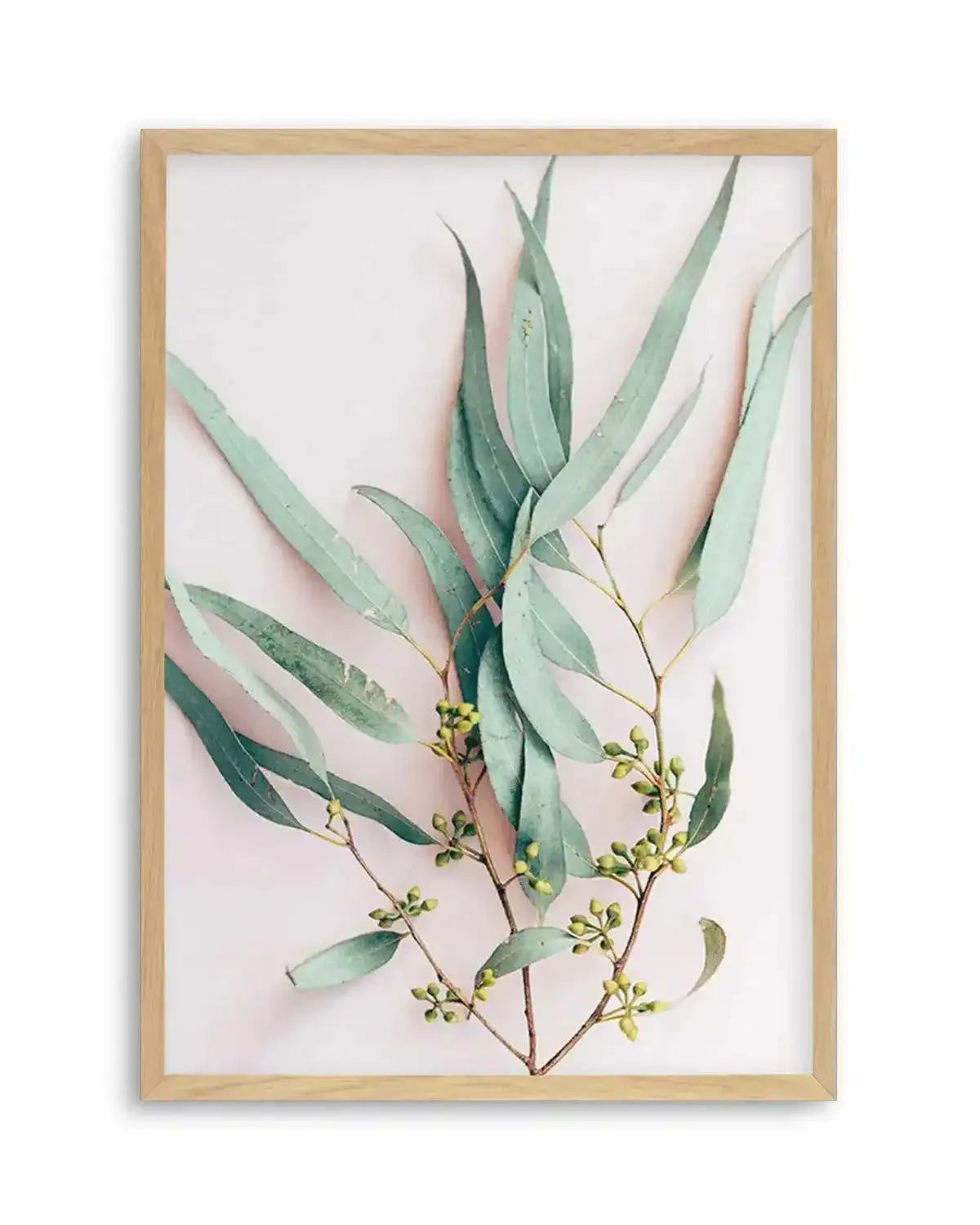 Eucalyptus on Blush Art Print from Olive et Oriel where you can shop wallpaper and artworks online