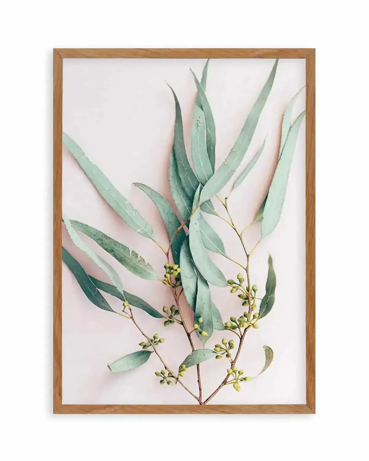 Eucalyptus on Blush Art Print from Olive et Oriel where you can shop wallpaper and artworks online