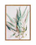 Eucalyptus on Blush Art Print