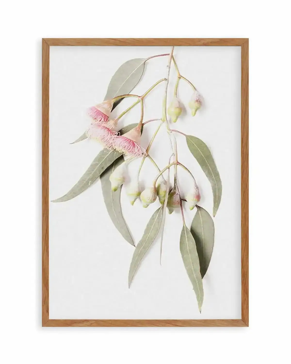 Eucalyptus on Grey Art Print from Olive et Oriel where you can shop wallpaper and artworks online