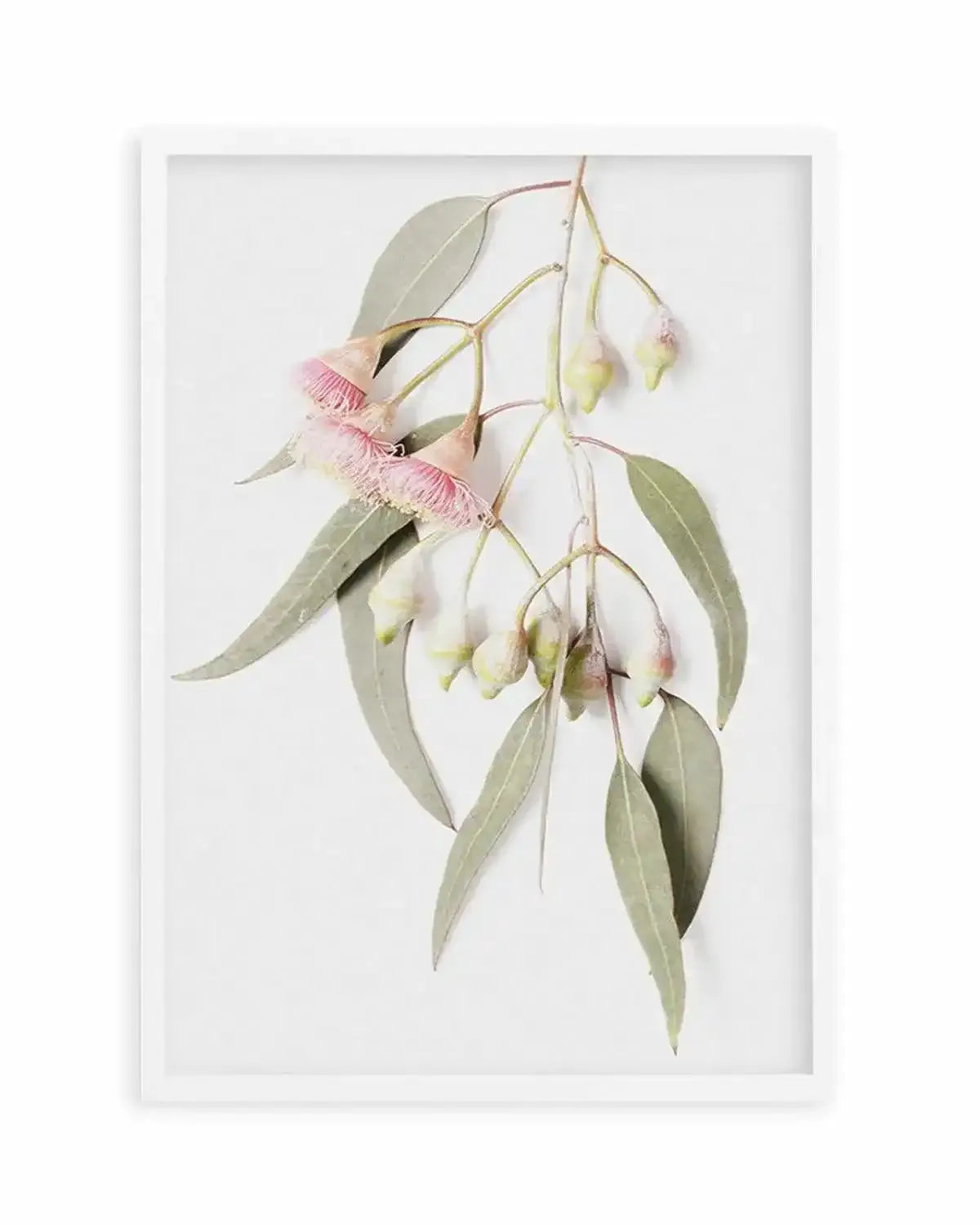 Eucalyptus on Grey Art Print from Olive et Oriel where you can shop wallpaper and artworks online