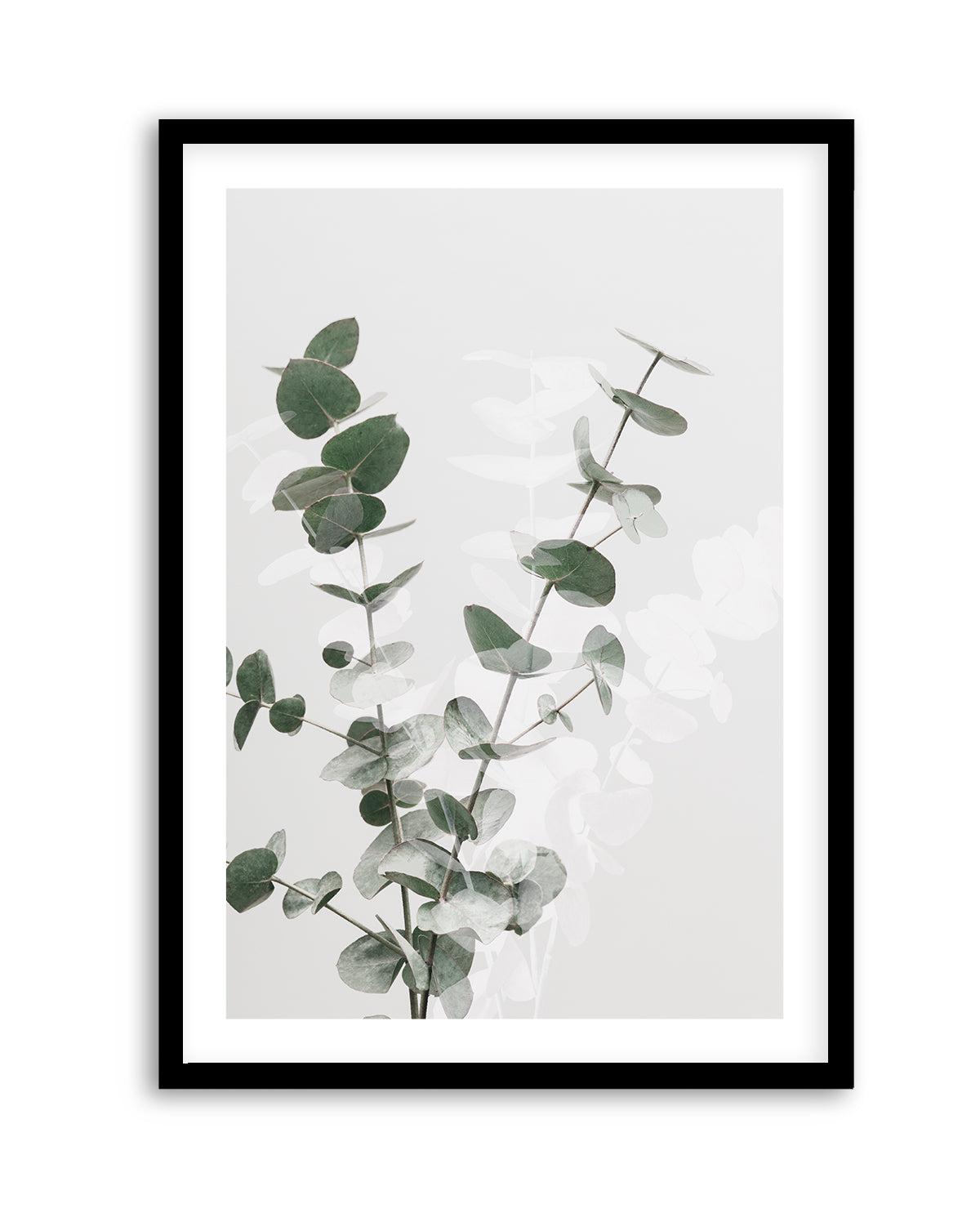 Eucalyptus Creative II By Studio III | Art Print