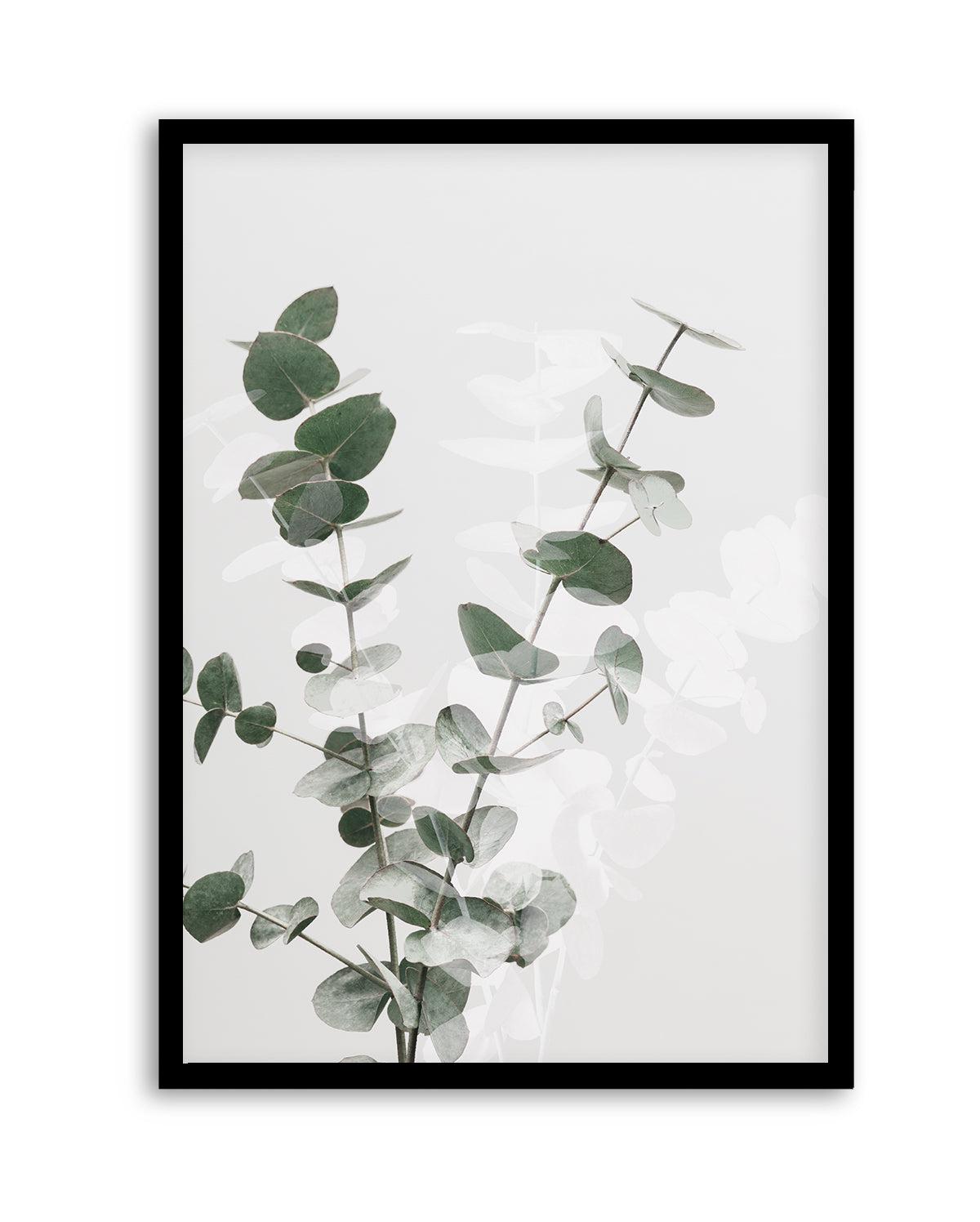 Eucalyptus Creative II By Studio III | Art Print