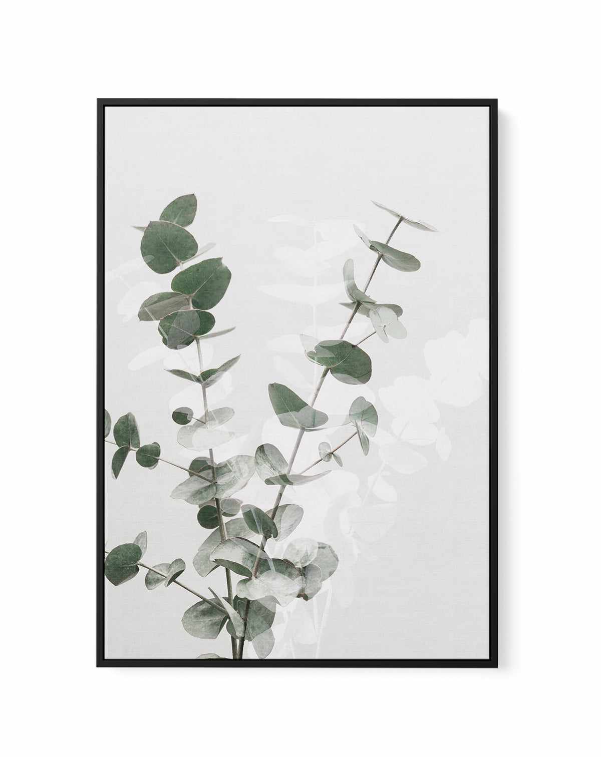 Eucalyptus Creative II By Studio III | Framed Canvas Art Print from Olive et Oriel where you can shop wallpaper and artworks online