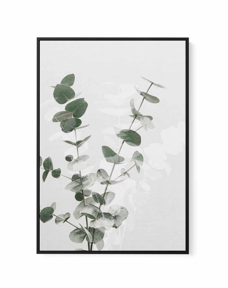 Eucalyptus Creative II By Studio III | Framed Canvas Art Print