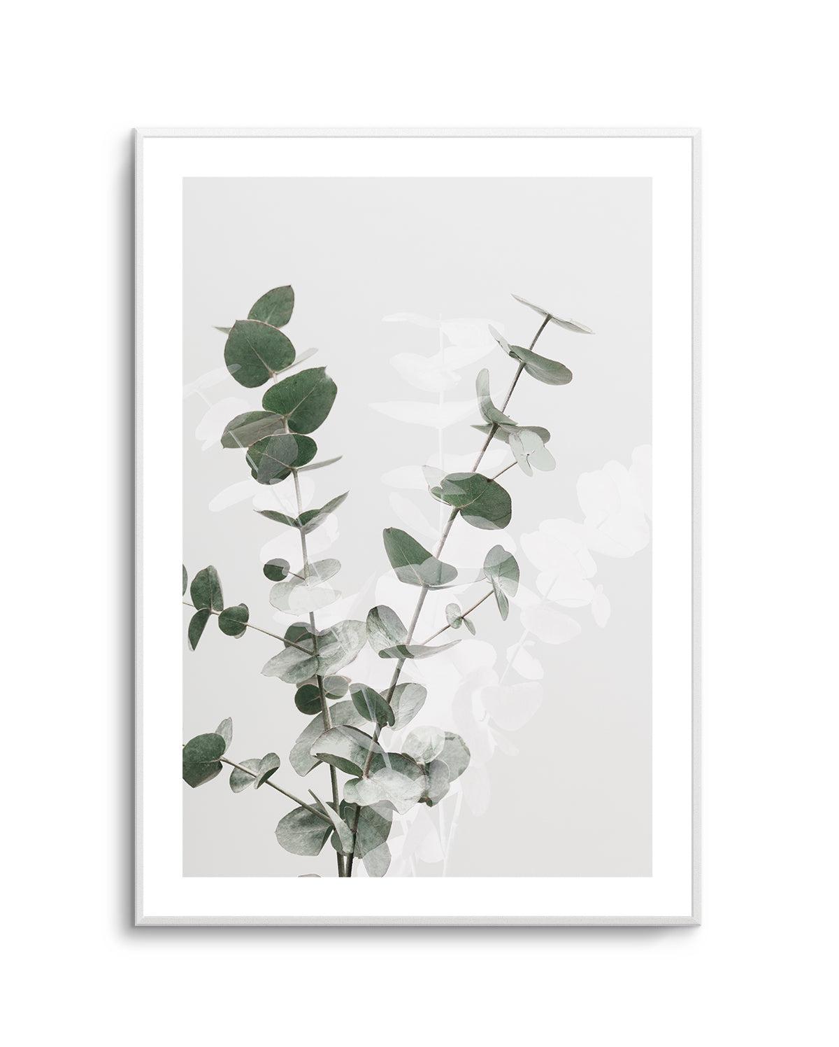 Eucalyptus Creative II By Studio III | Art Print