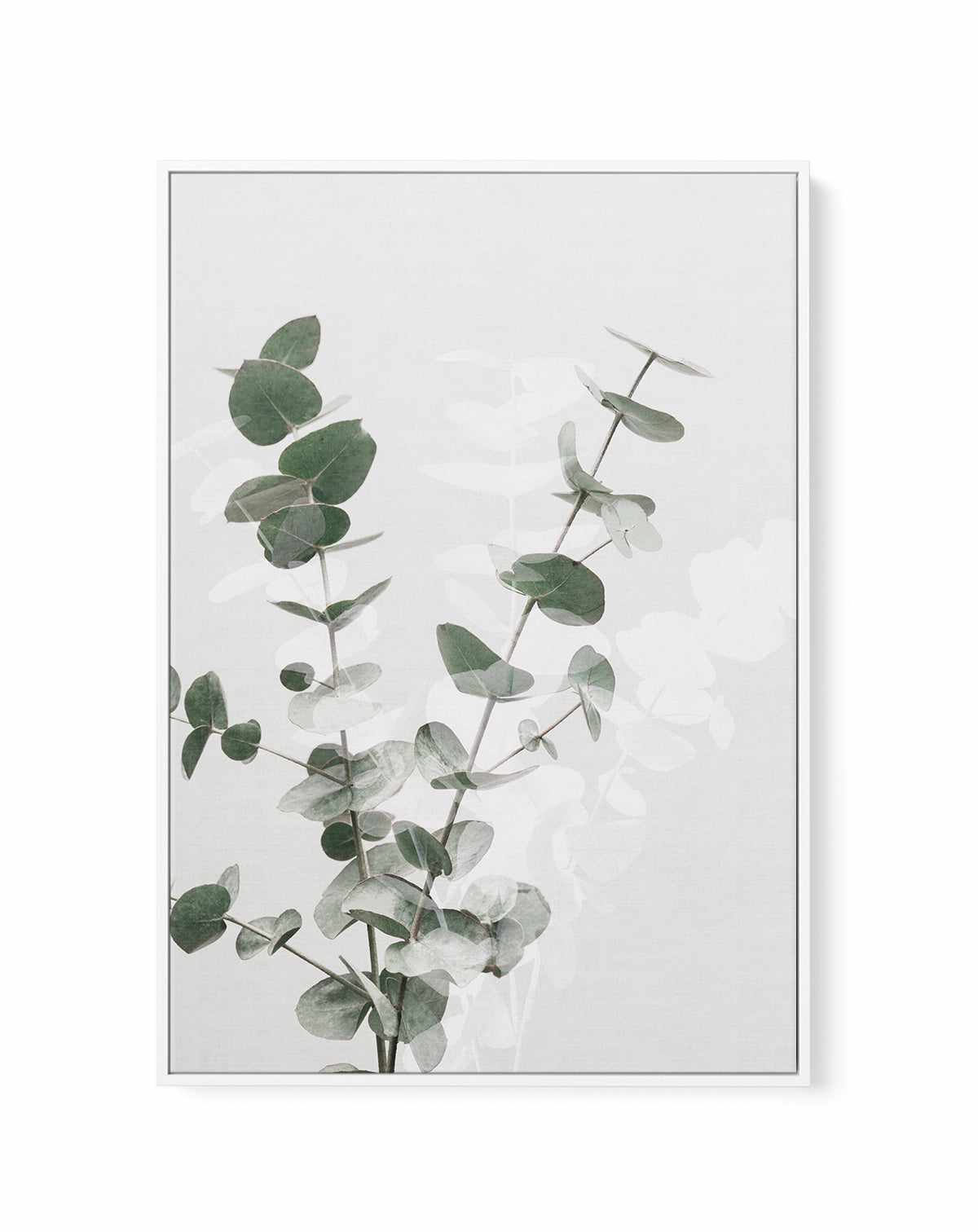 Eucalyptus Creative II By Studio III | Framed Canvas Art Print