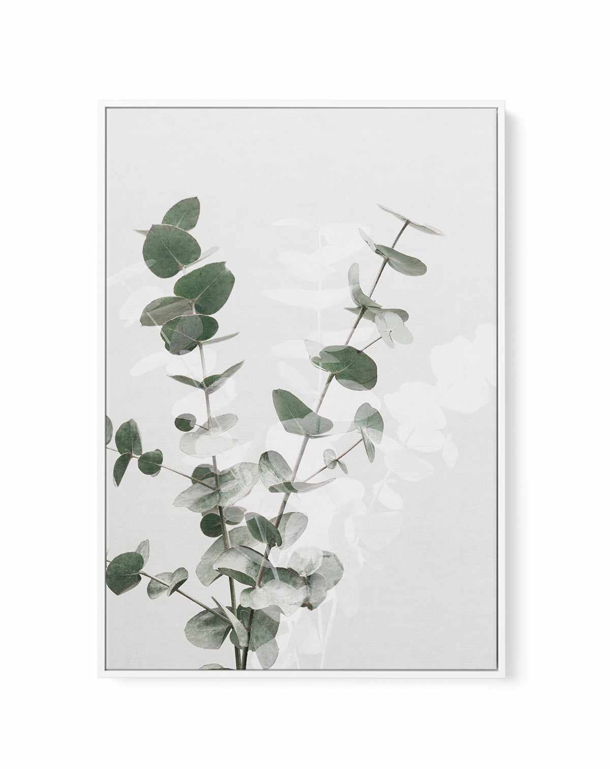 Eucalyptus Creative II By Studio III | Framed Canvas Art Print from Olive et Oriel where you can shop wallpaper and artworks online