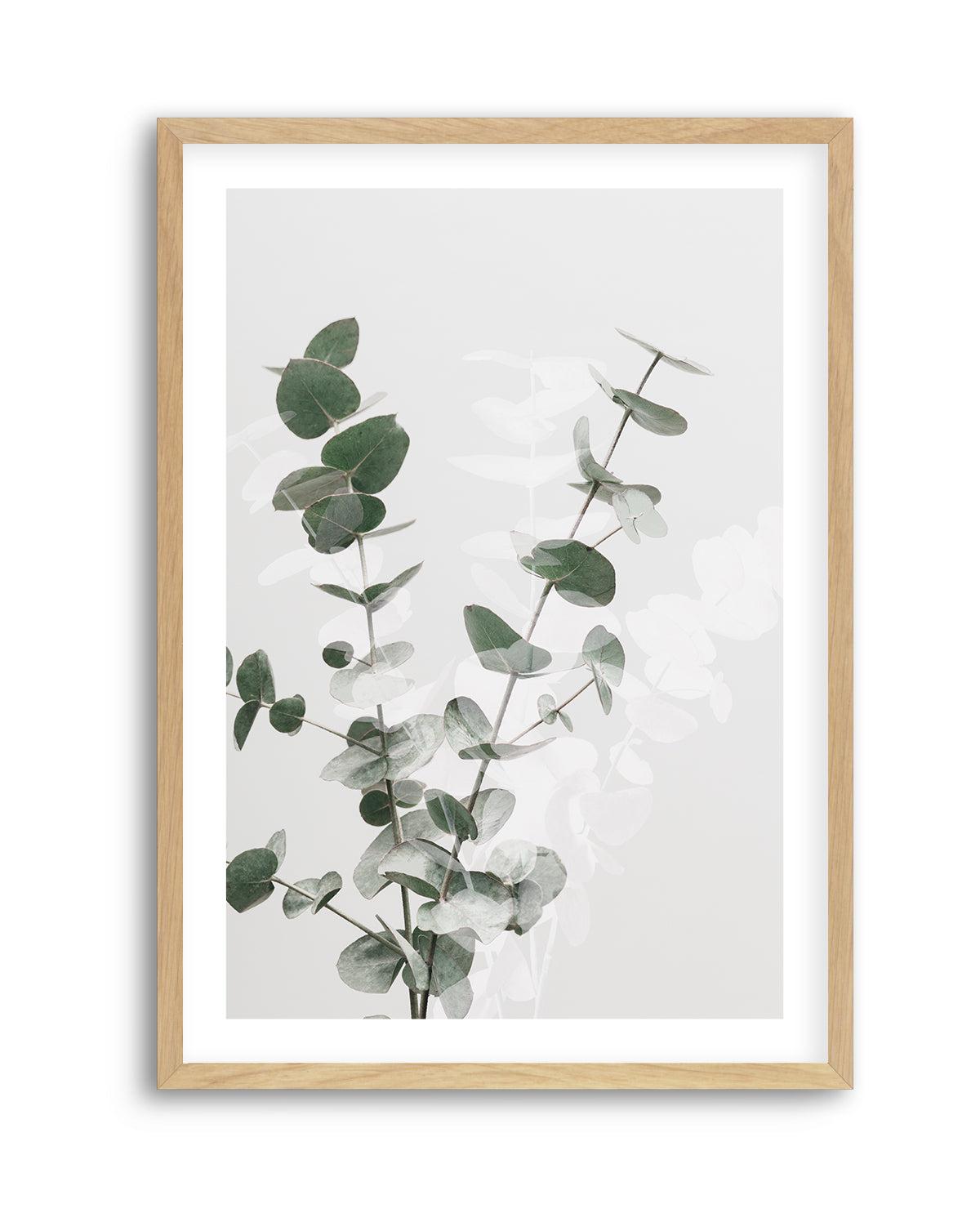 Eucalyptus Creative II By Studio III | Art Print