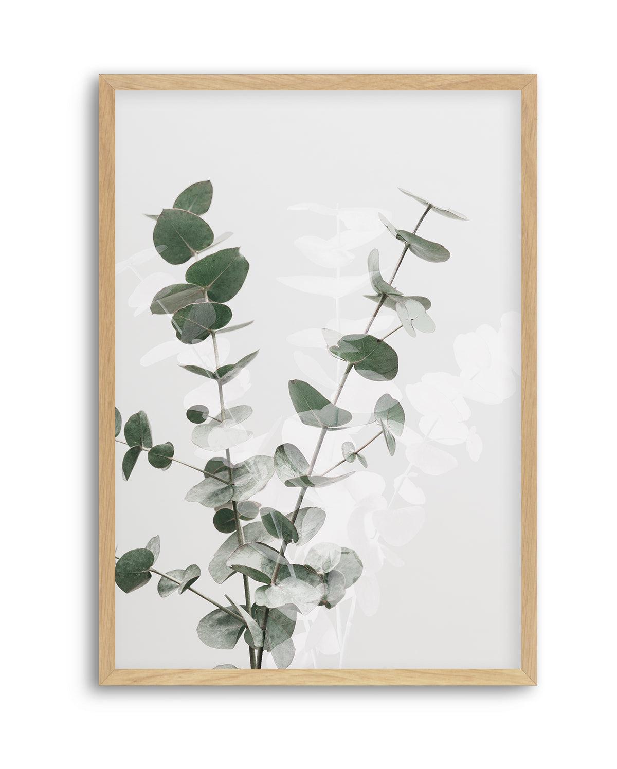 Eucalyptus Creative II By Studio III | Art Print