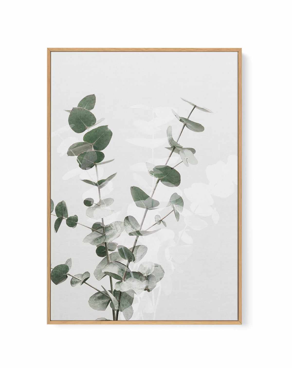 Eucalyptus Creative II By Studio III | Framed Canvas Art Print from Olive et Oriel where you can shop wallpaper and artworks online