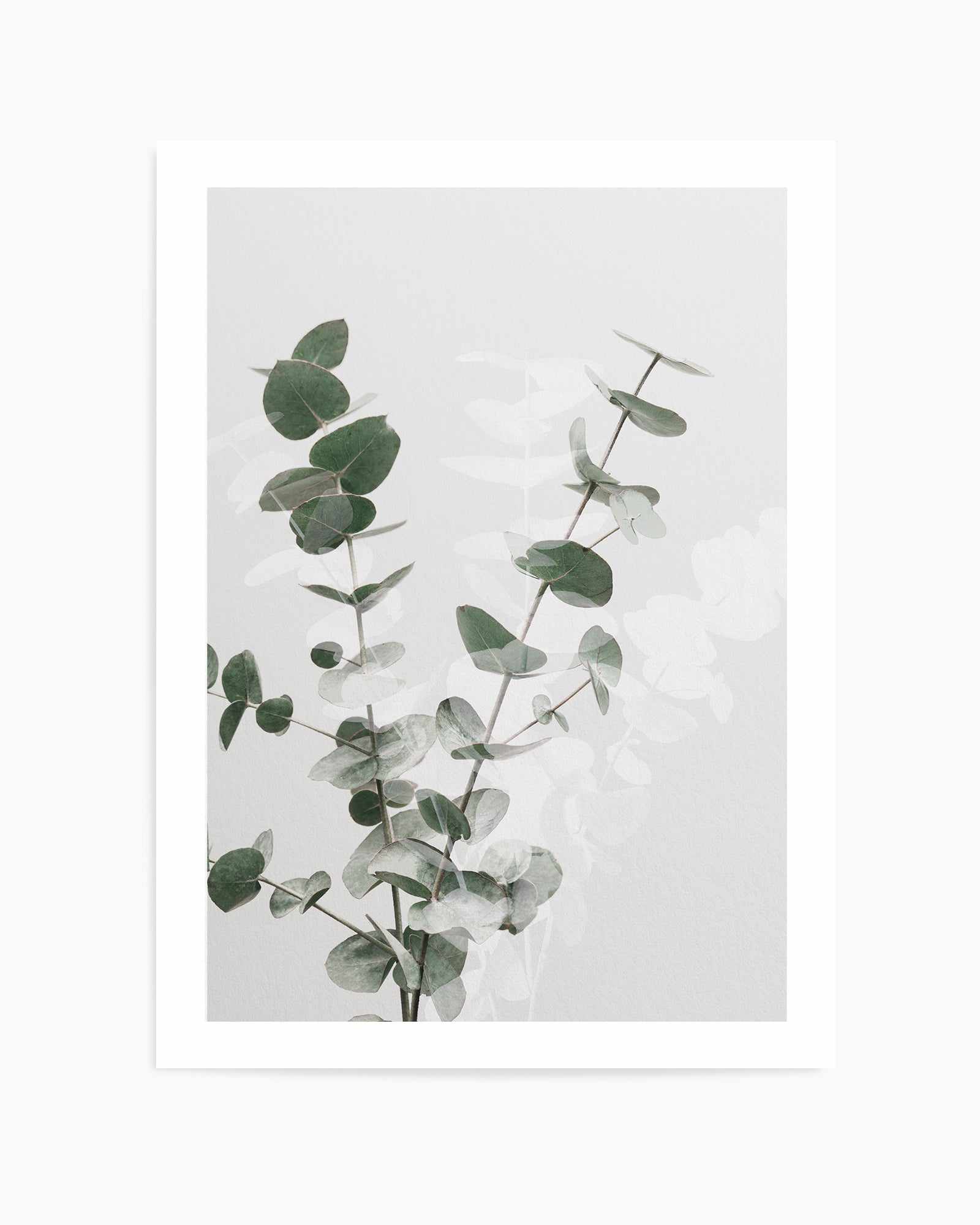 Eucalyptus Creative II By Studio III | Art Print