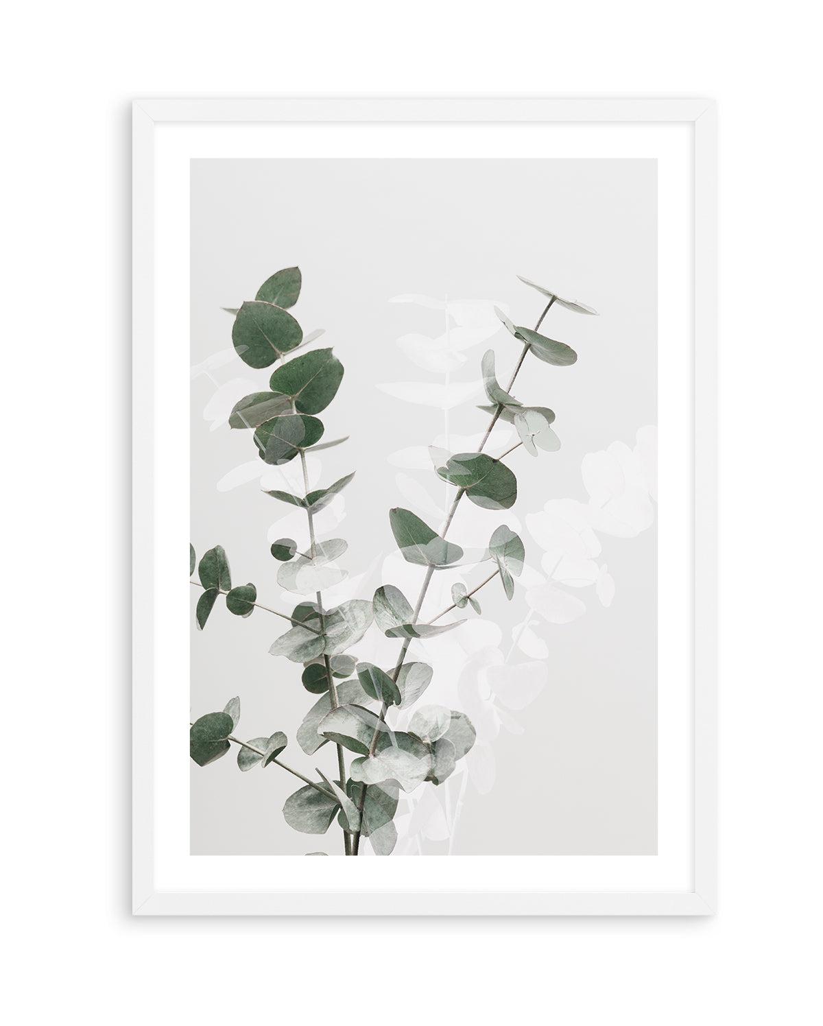 Eucalyptus Creative II By Studio III | Art Print