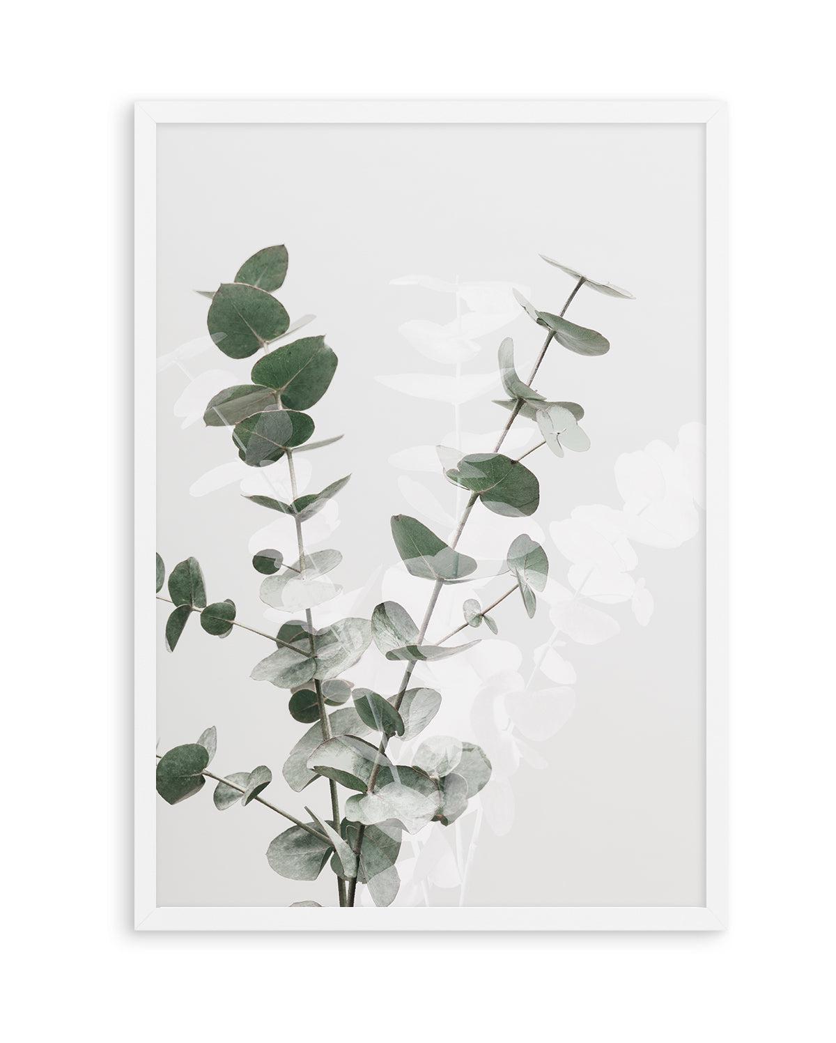 Eucalyptus Creative II By Studio III | Art Print