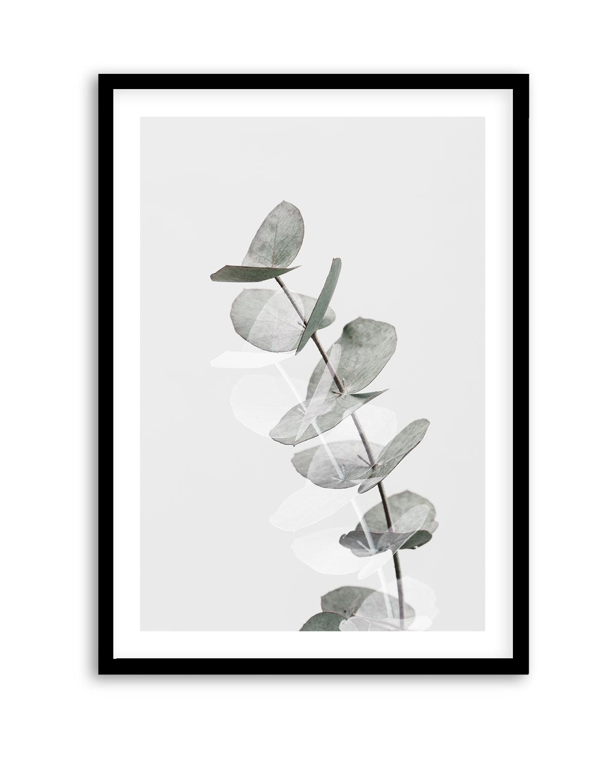 Eucalyptus Creative V By Studio III | Art Print