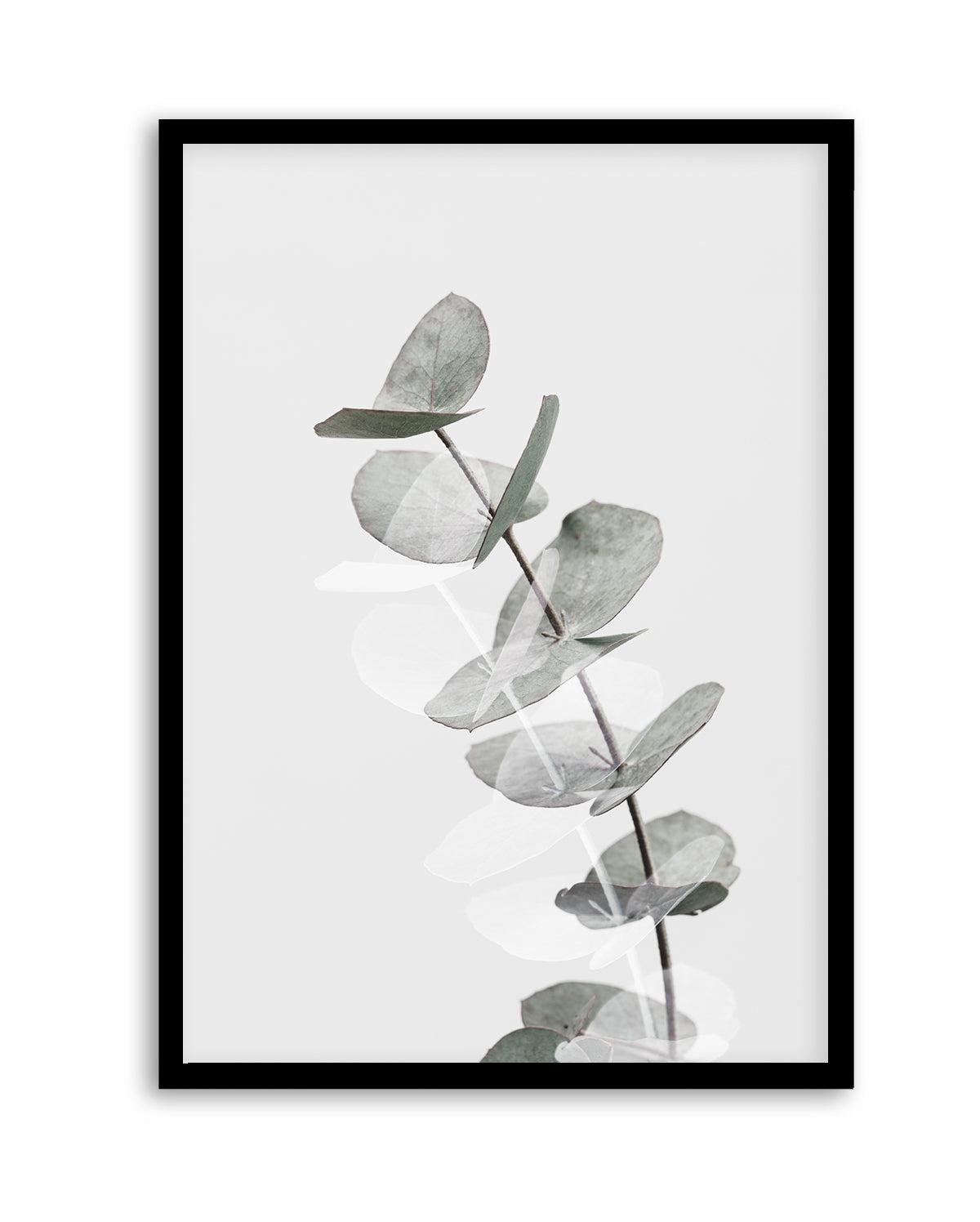 Eucalyptus Creative V By Studio III | Art Print