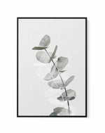 Eucalyptus Creative V By Studio III | Framed Canvas Art Print