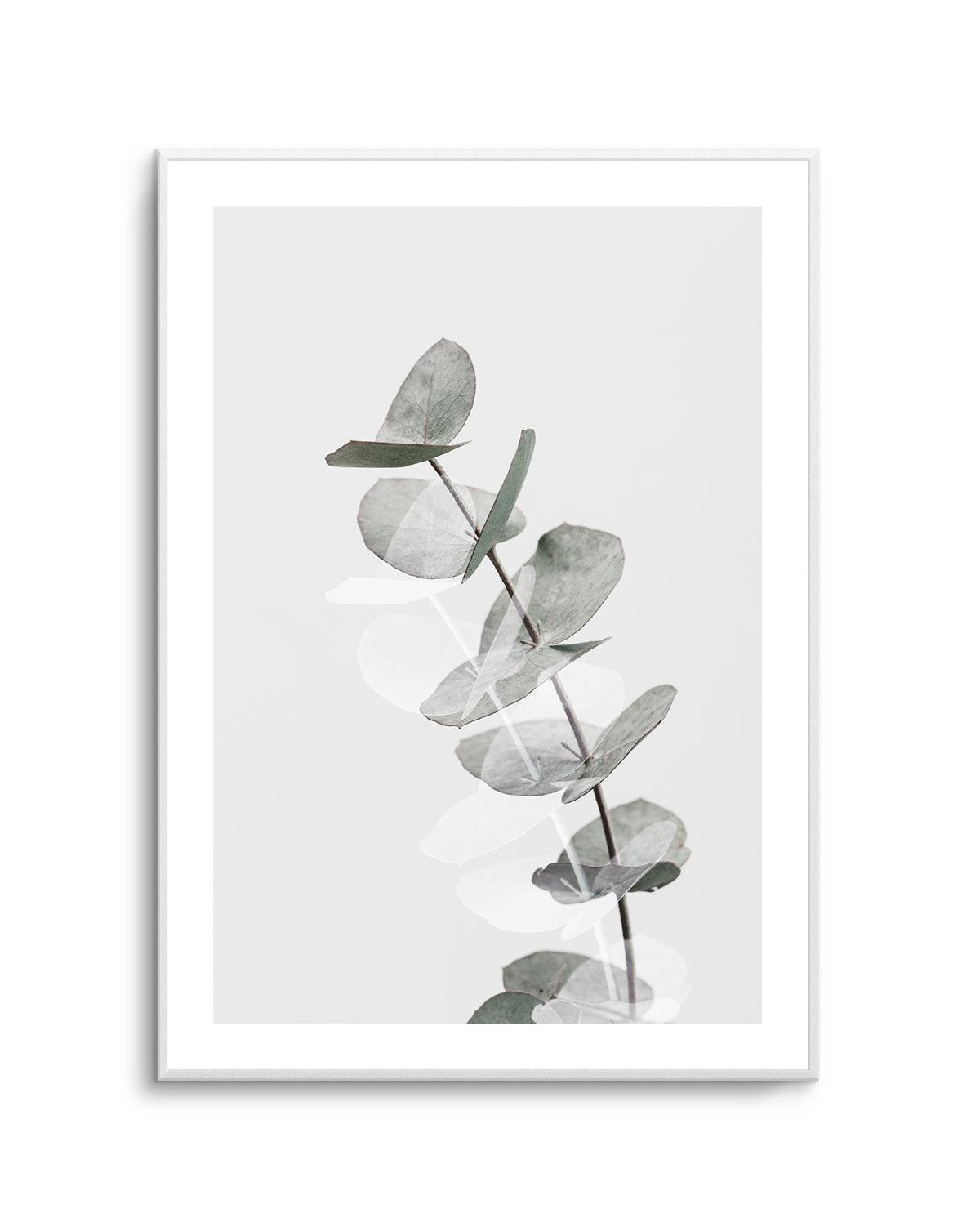 Eucalyptus Creative V By Studio III | Art Print