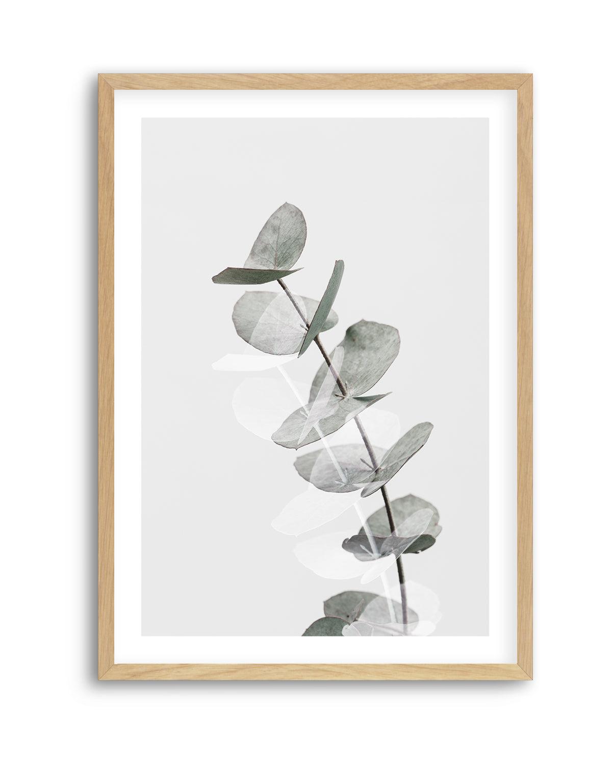 Eucalyptus Creative V By Studio III | Art Print