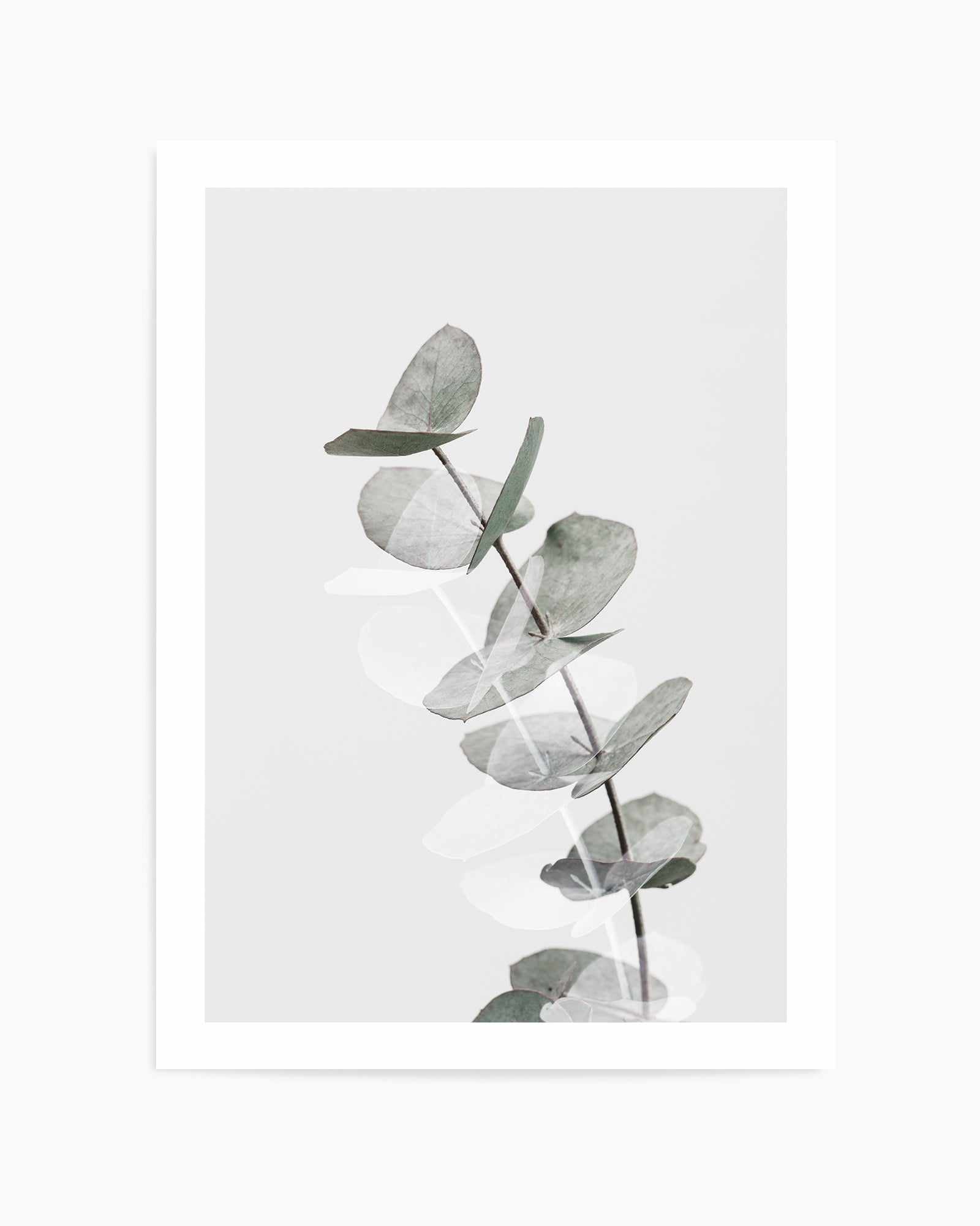 Eucalyptus Creative V By Studio III | Art Print