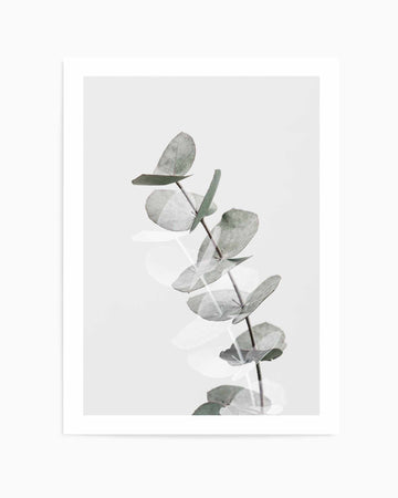 Eucalyptus Creative V By Studio III | Art Print from Olive et Oriel where you can shop wallpaper and artworks online
