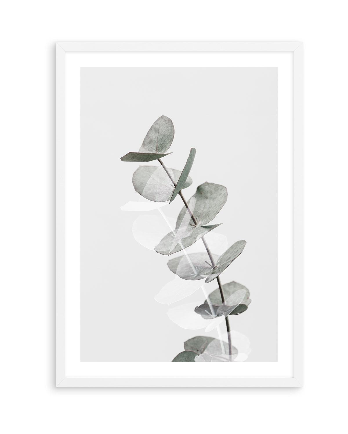 Eucalyptus Creative V By Studio III | Art Print