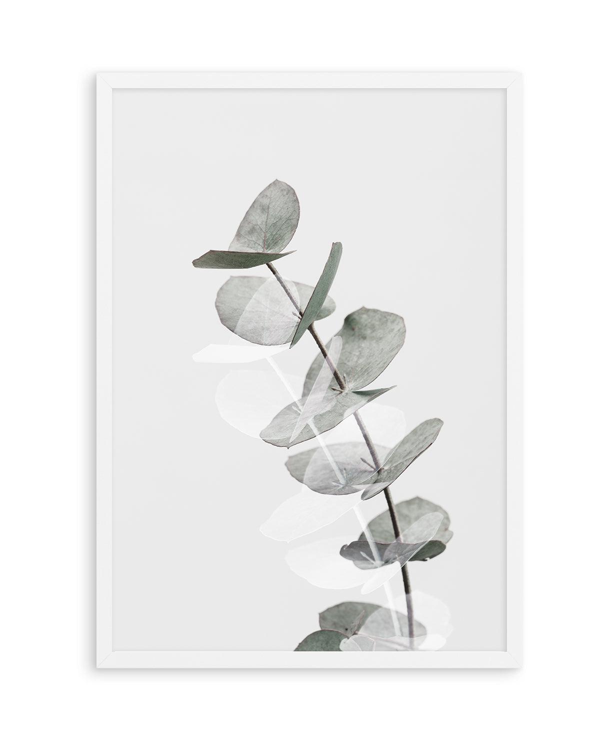 Eucalyptus Creative V By Studio III | Art Print