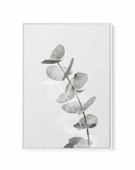 Eucalyptus Creative V By Studio III | Framed Canvas Art Print