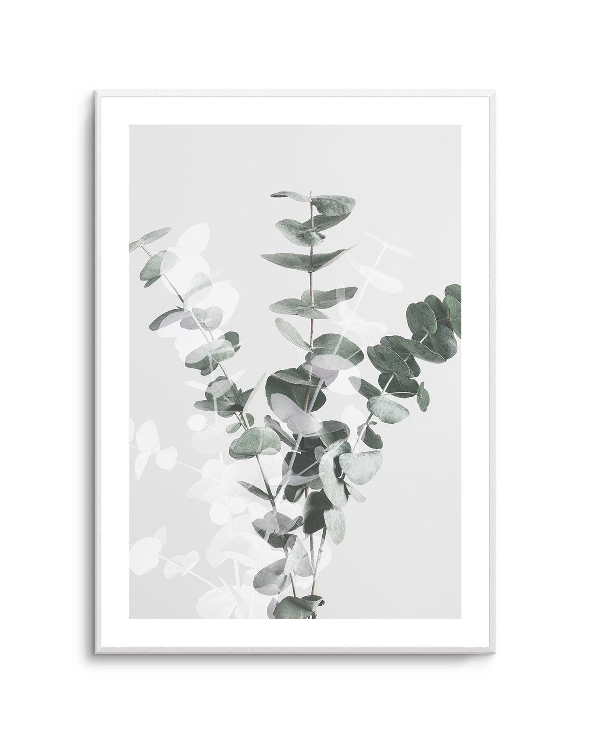 Eucalyptus Creative VII By Studio III | Art Print