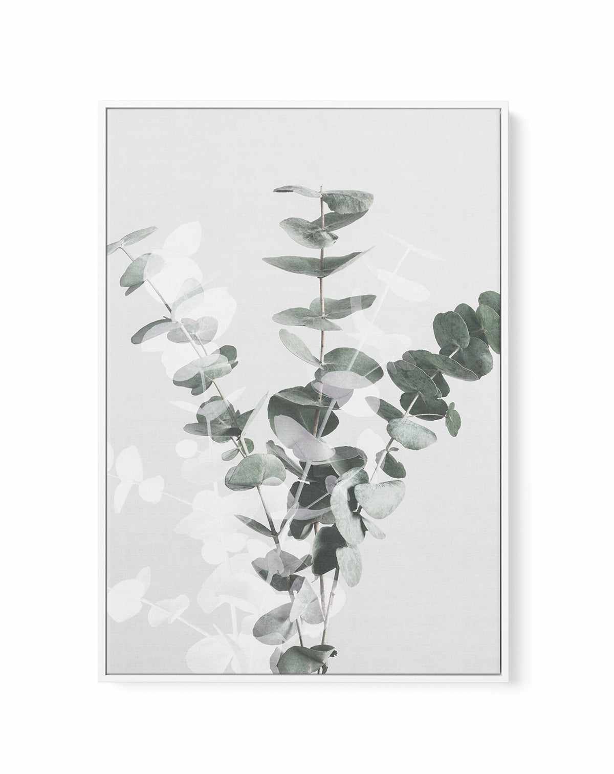 Eucalyptus Creative VII By Studio III | Framed Canvas Art Print