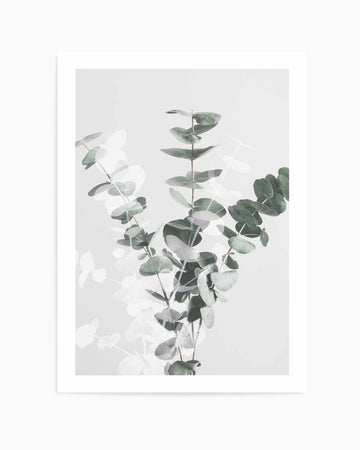 Eucalyptus Creative VII By Studio III | Art Print from Olive et Oriel where you can shop wallpaper and artworks online
