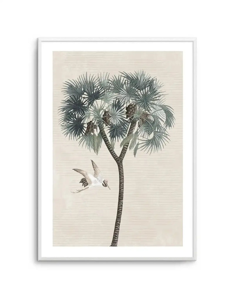 Exotic Palm I Art Print-PRINT-Olive et Oriel-Olive et Oriel-Buy-Australian-Art-Prints-Online-with-Olive-et-Oriel-Your-Artwork-Specialists-Austrailia-Decorate-With-Coastal-Photo-Wall-Art-Prints-From-Our-Beach-House-Artwork-Collection-Fine-Poster-and-Framed-Artwork