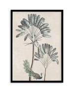 Exotic Palm II Art Print