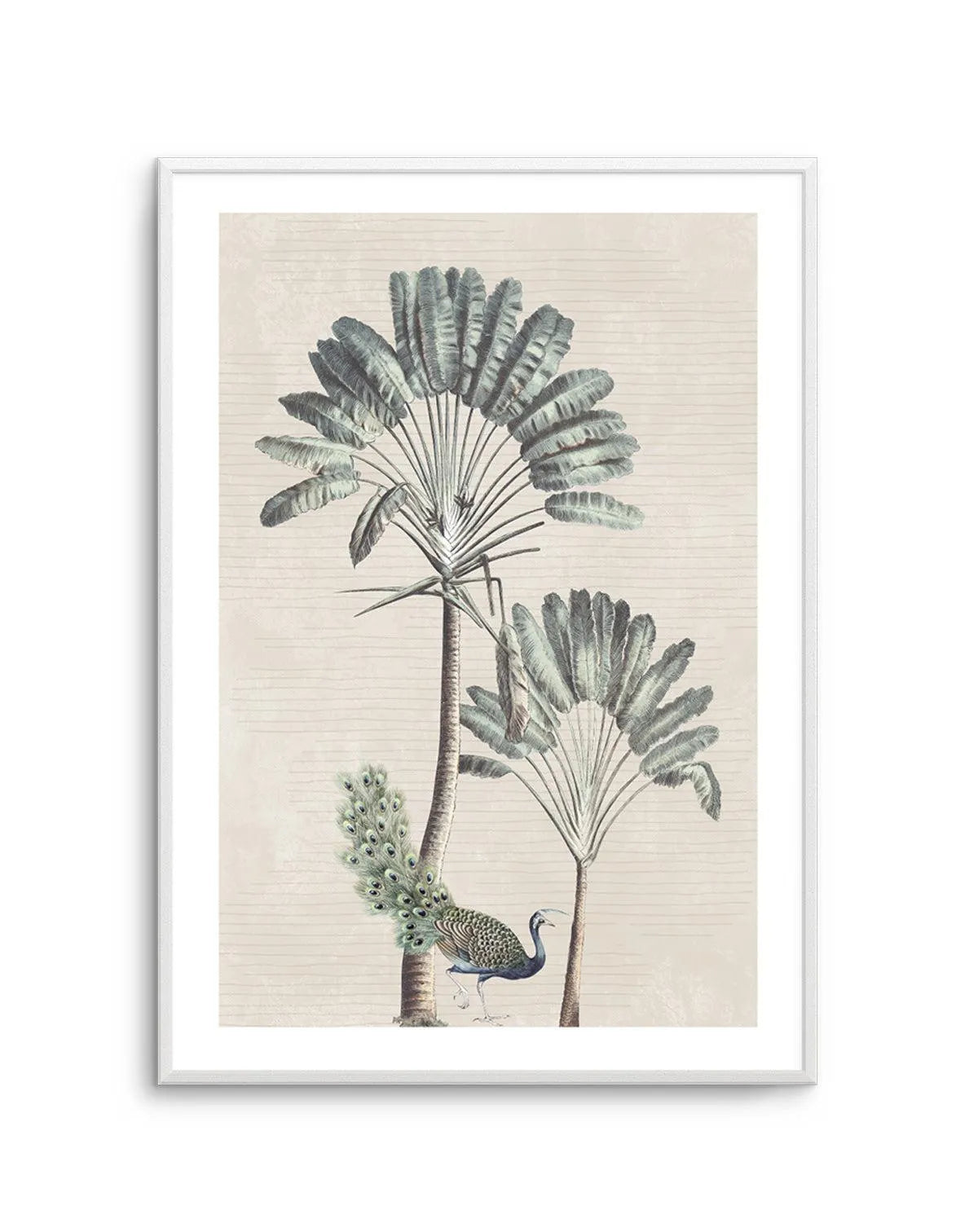 Exotic Palm II Art Print-PRINT-Olive et Oriel-Olive et Oriel-Buy-Australian-Art-Prints-Online-with-Olive-et-Oriel-Your-Artwork-Specialists-Austrailia-Decorate-With-Coastal-Photo-Wall-Art-Prints-From-Our-Beach-House-Artwork-Collection-Fine-Poster-and-Framed-Artwork