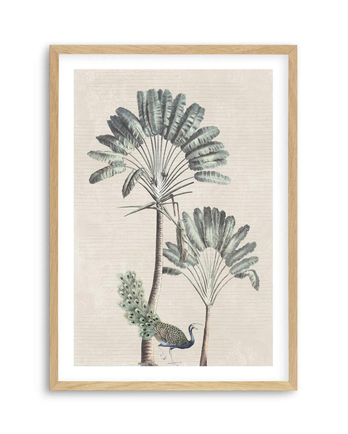 Exotic Palm II Art Print-PRINT-Olive et Oriel-Olive et Oriel-Buy-Australian-Art-Prints-Online-with-Olive-et-Oriel-Your-Artwork-Specialists-Austrailia-Decorate-With-Coastal-Photo-Wall-Art-Prints-From-Our-Beach-House-Artwork-Collection-Fine-Poster-and-Framed-Artwork